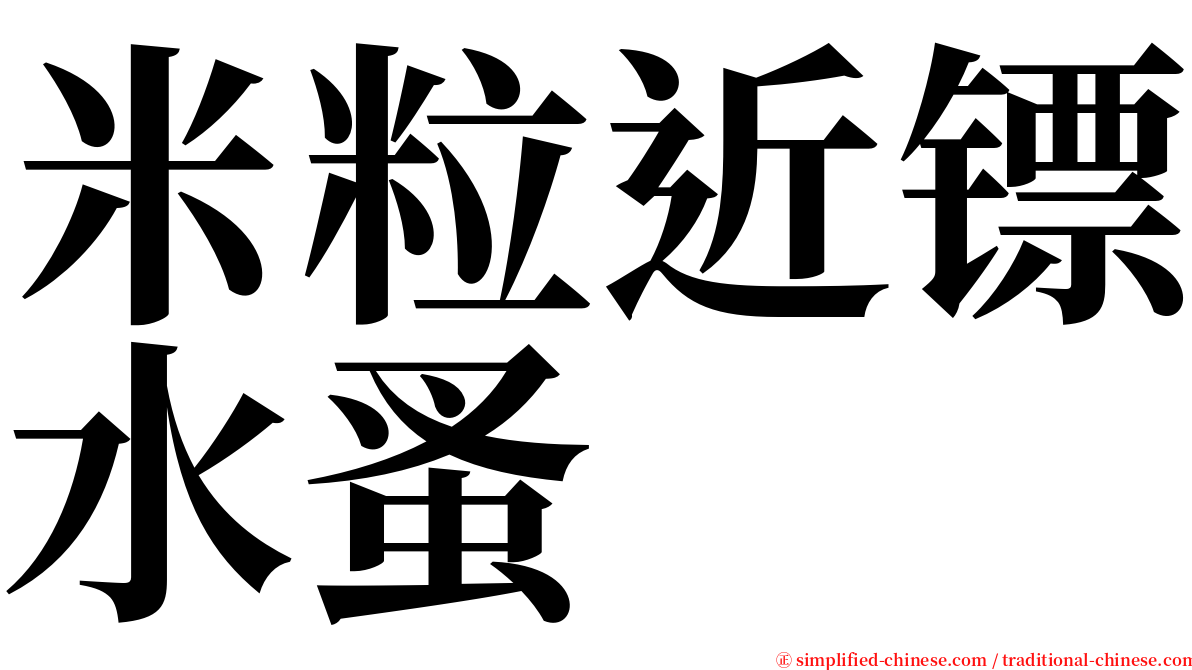 米粒近镖水蚤 serif font