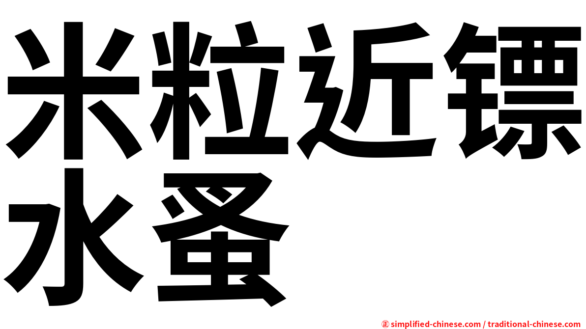 米粒近镖水蚤