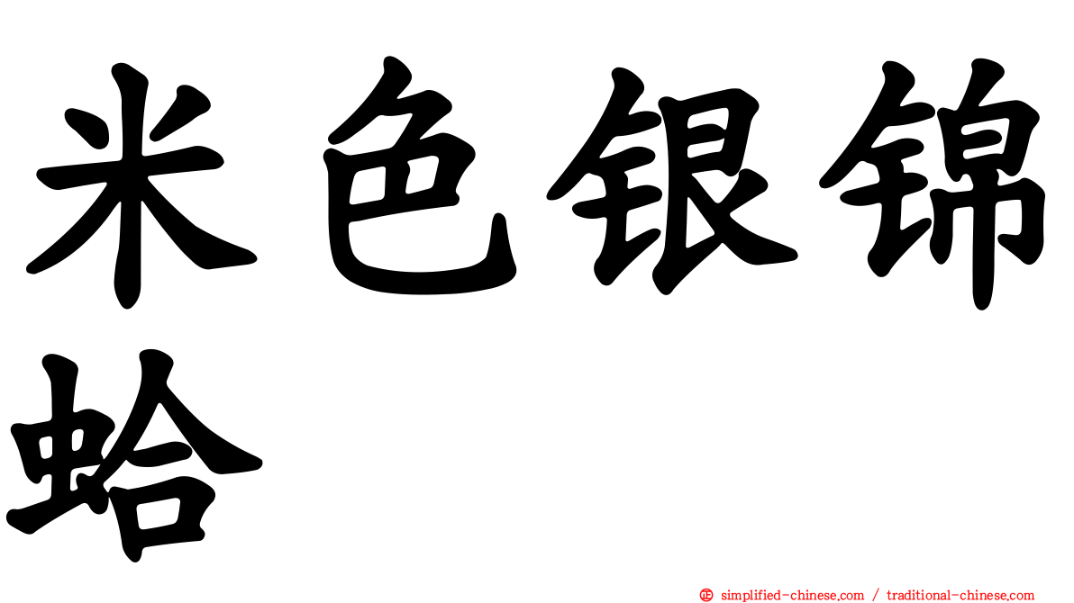 米色银锦蛤
