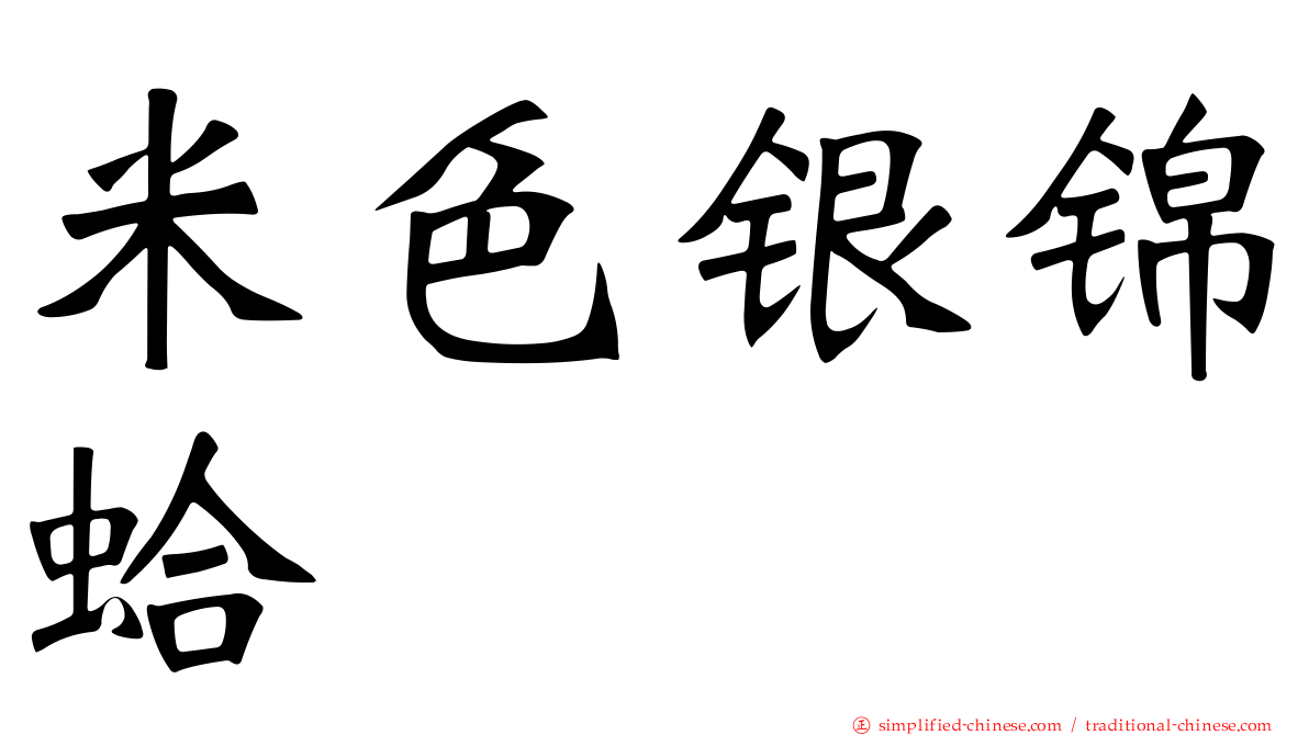 米色银锦蛤