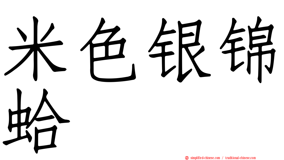 米色银锦蛤