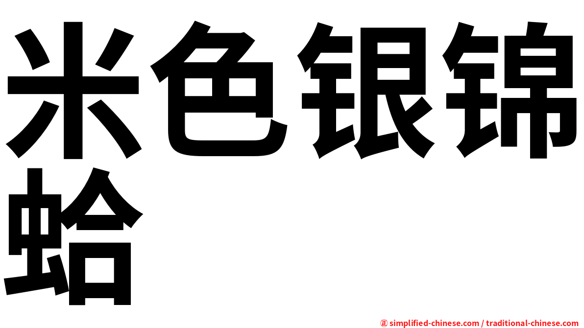 米色银锦蛤