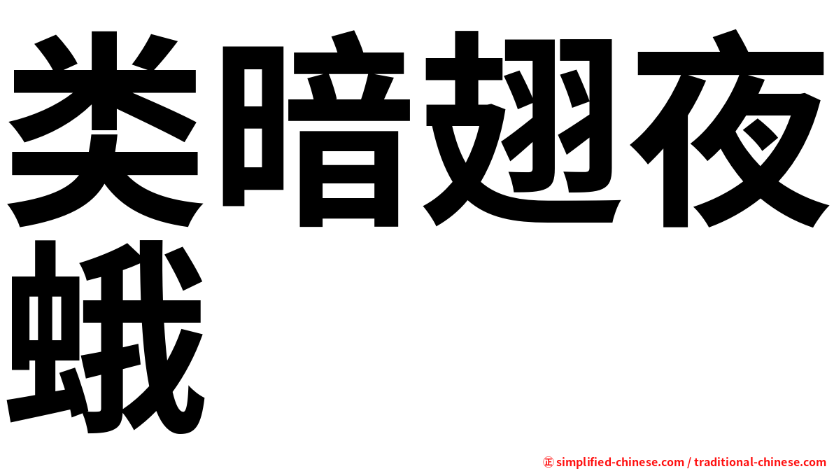 类暗翅夜蛾