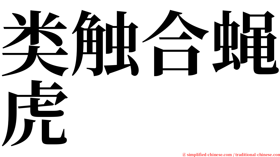 类触合蝇虎 serif font