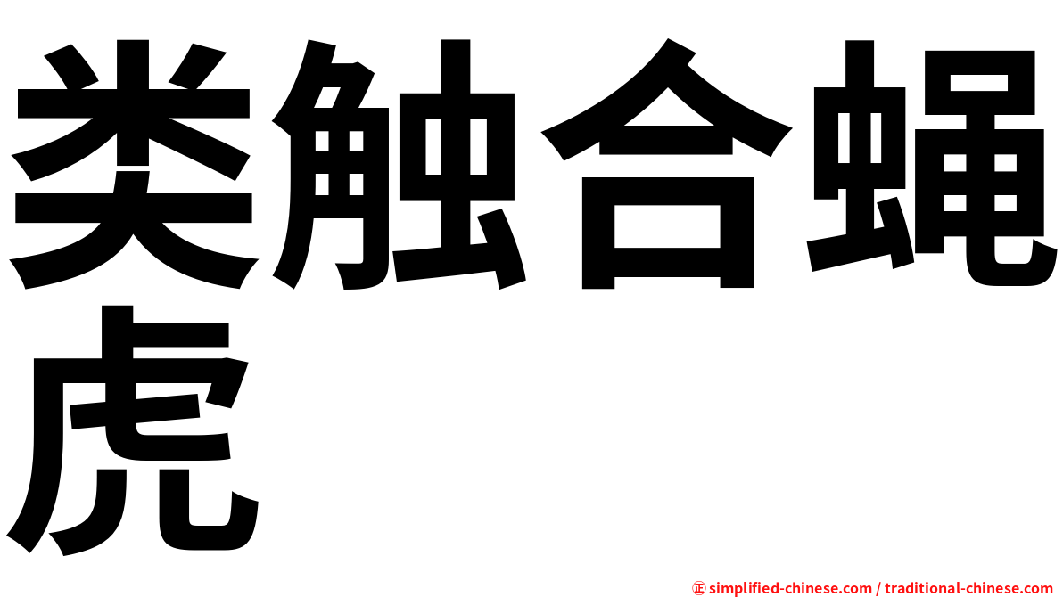 类触合蝇虎