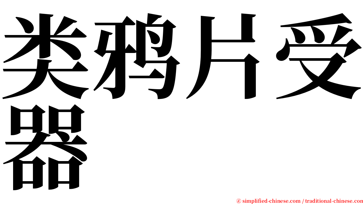 类鸦片受器 serif font