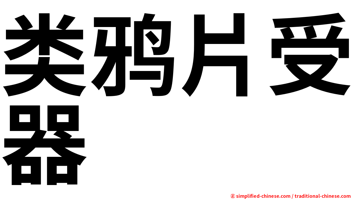 类鸦片受器