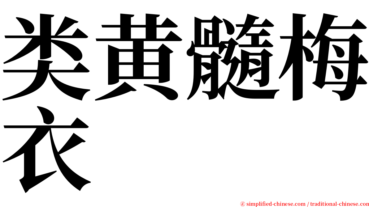类黄髓梅衣 serif font
