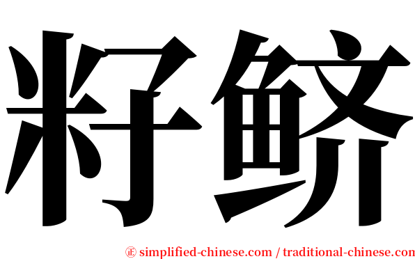 籽鲚 serif font