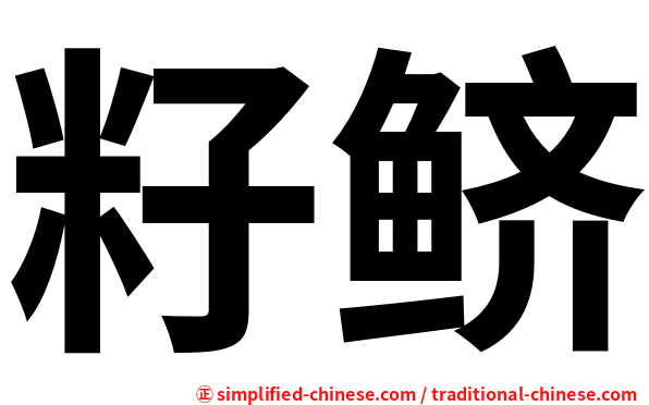 籽鲚