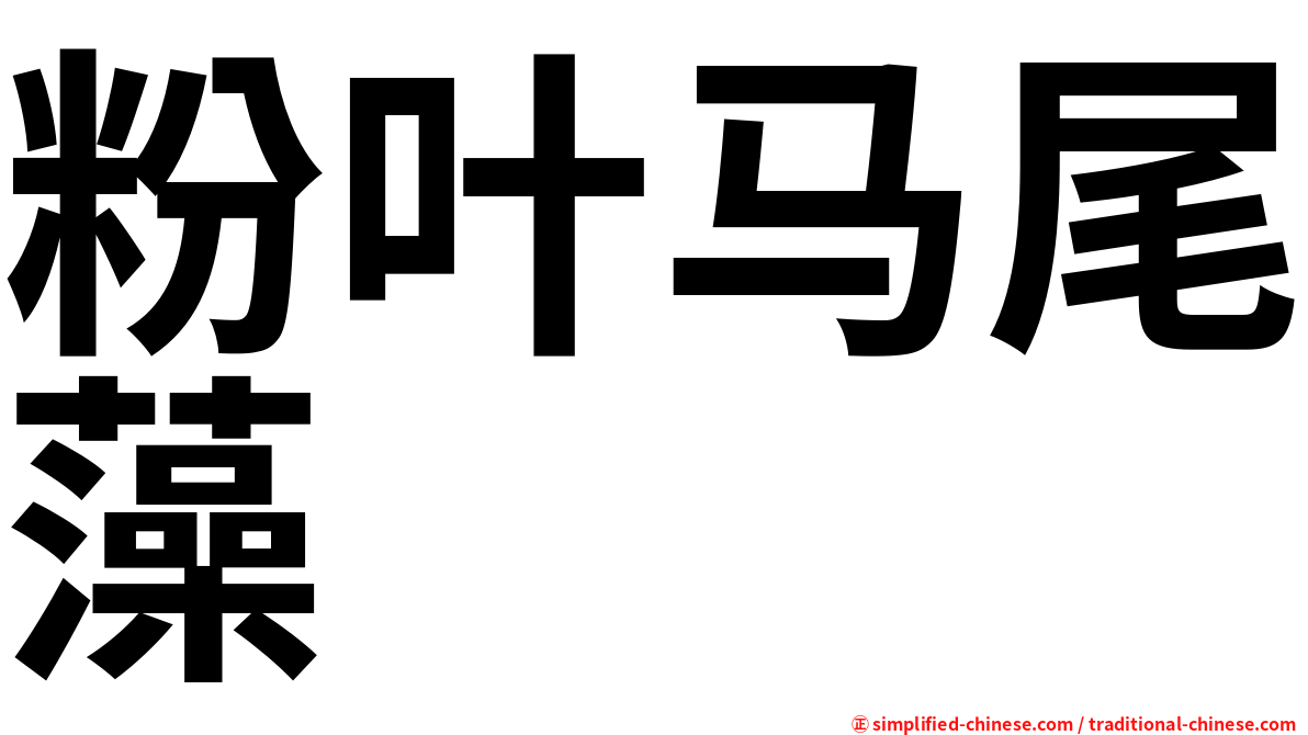 粉叶马尾藻