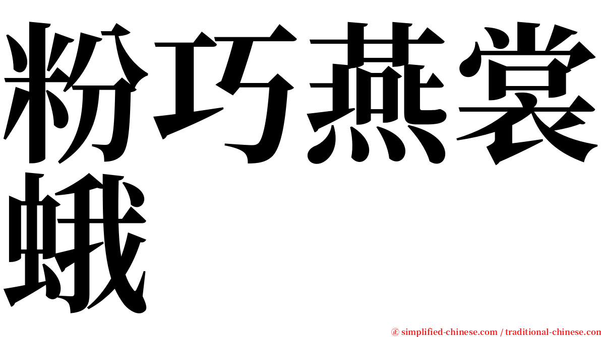 粉巧燕裳蛾 serif font