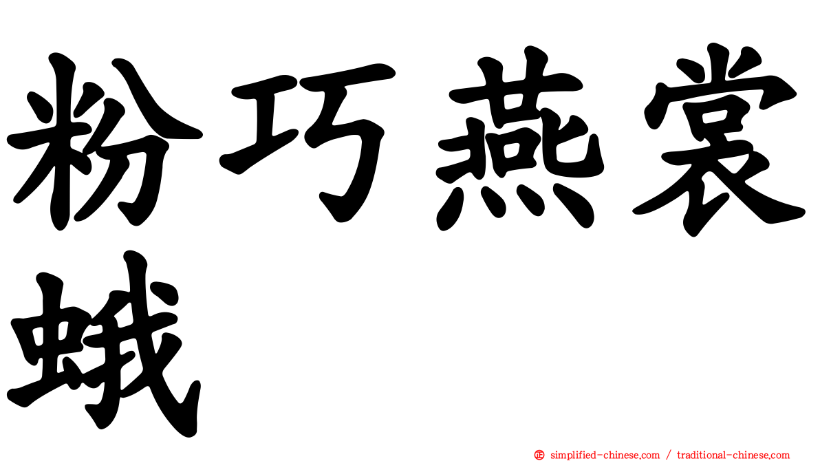粉巧燕裳蛾