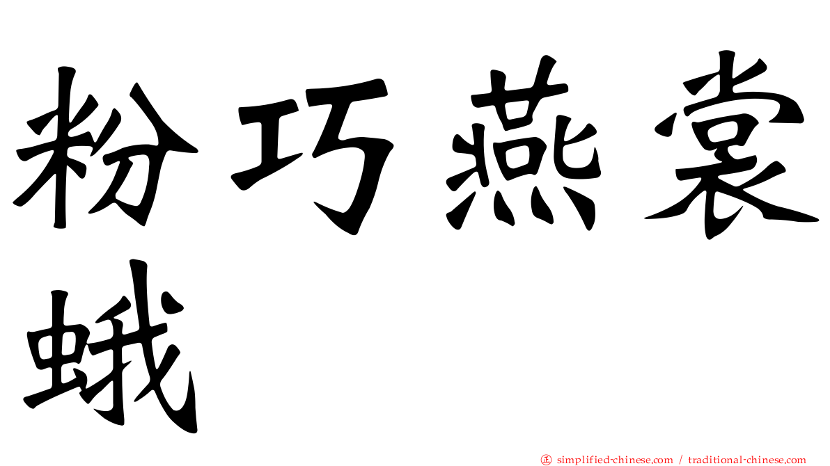 粉巧燕裳蛾