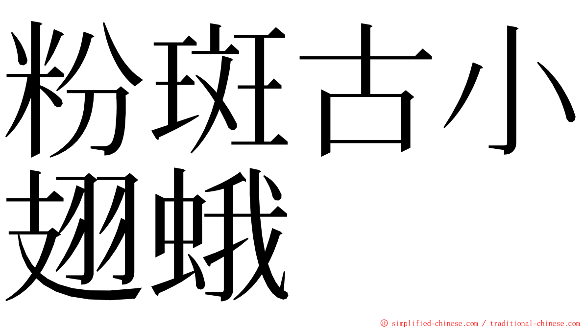 粉斑古小翅蛾 ming font