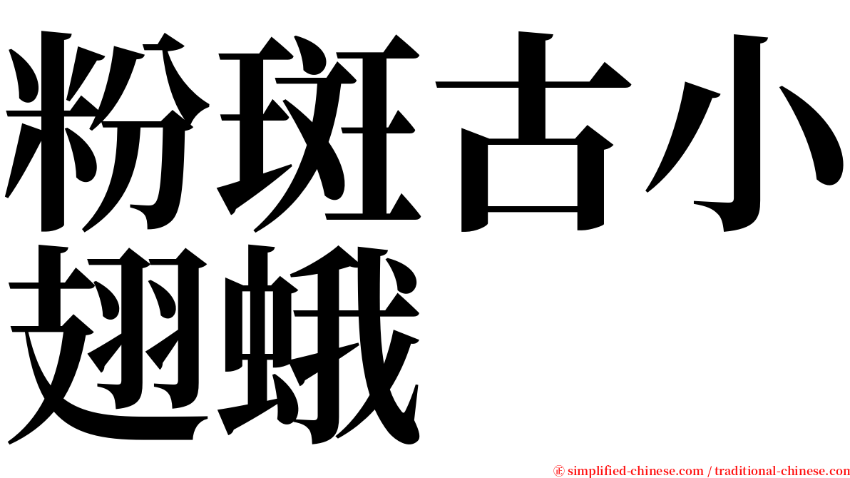 粉斑古小翅蛾 serif font
