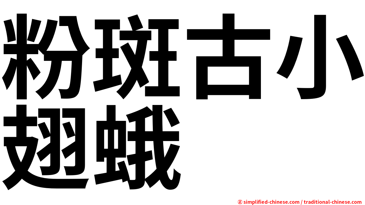 粉斑古小翅蛾