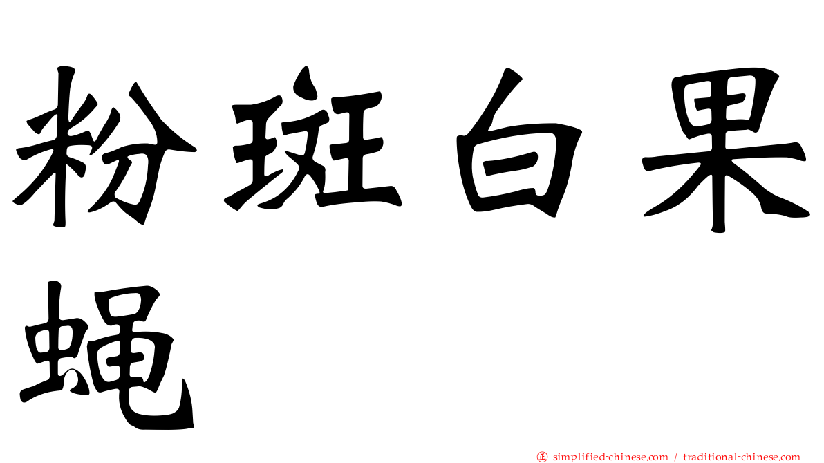 粉斑白果蝇