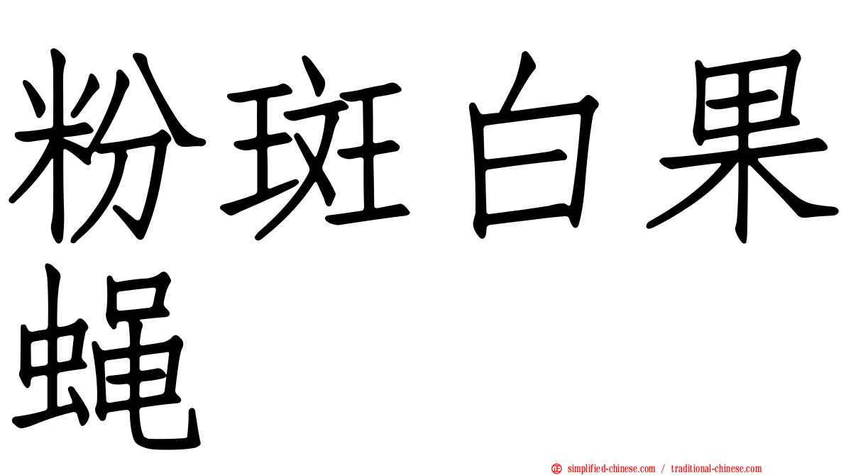 粉斑白果蝇
