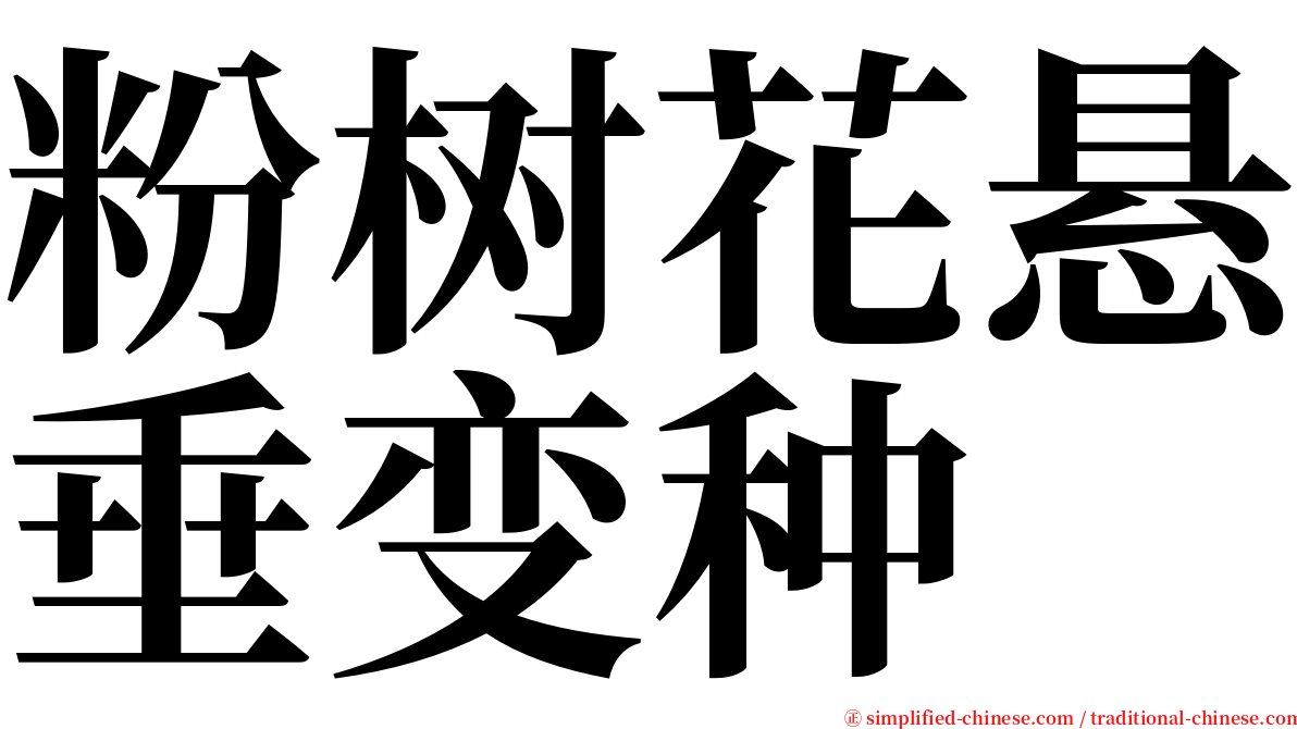 粉树花悬垂变种 serif font