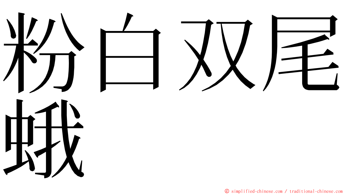 粉白双尾蛾 ming font