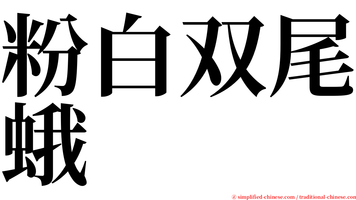 粉白双尾蛾 serif font