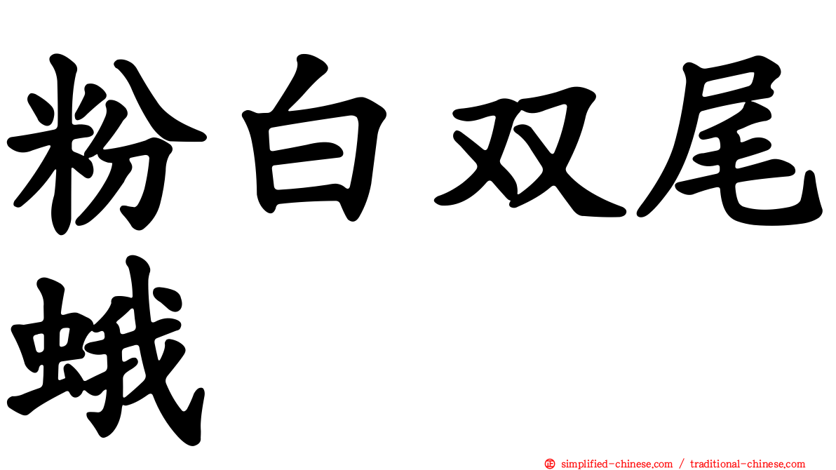 粉白双尾蛾
