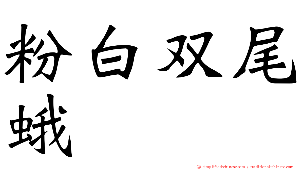 粉白双尾蛾