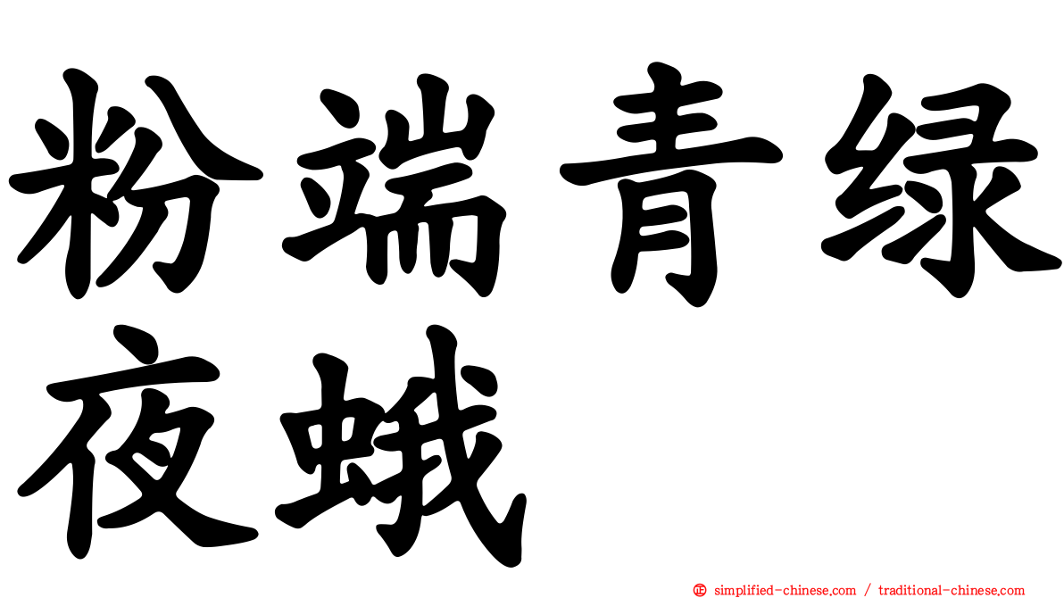 粉端青绿夜蛾