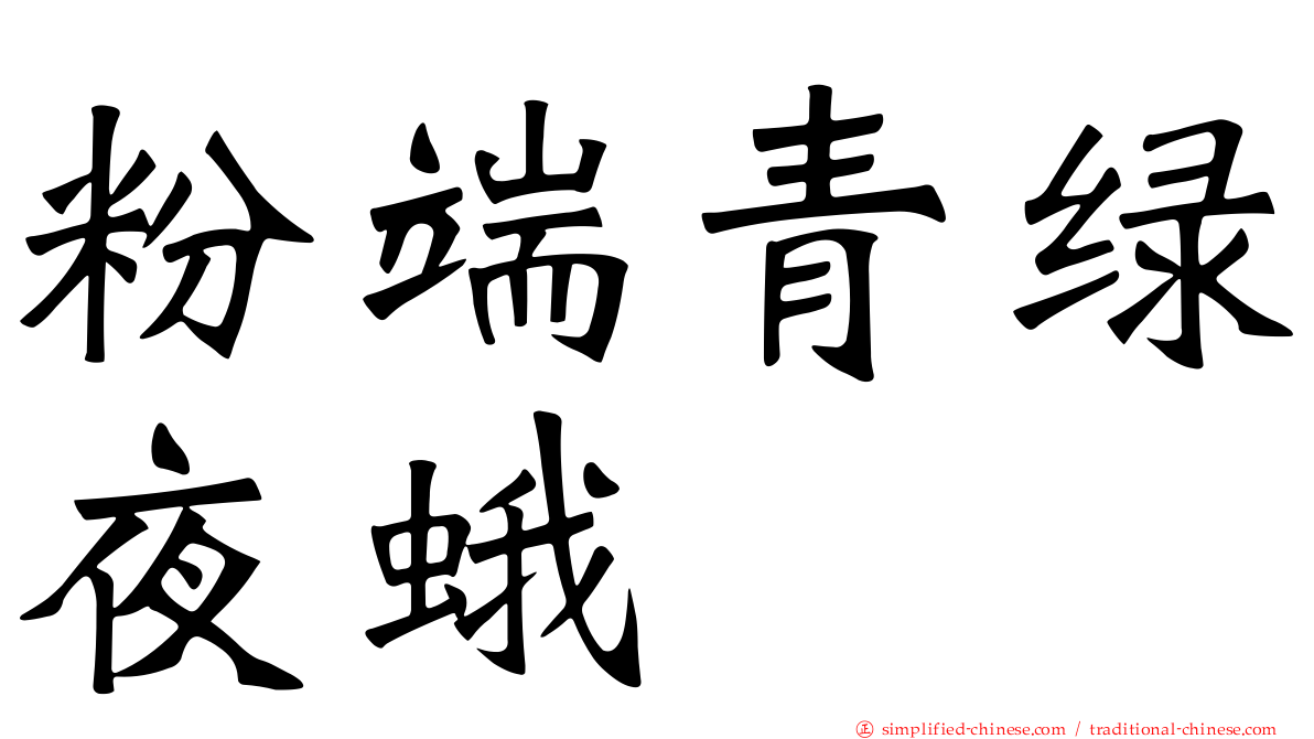 粉端青绿夜蛾