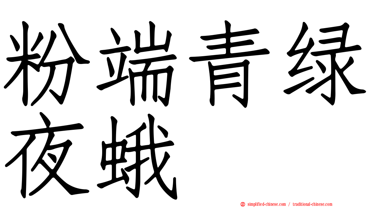 粉端青绿夜蛾