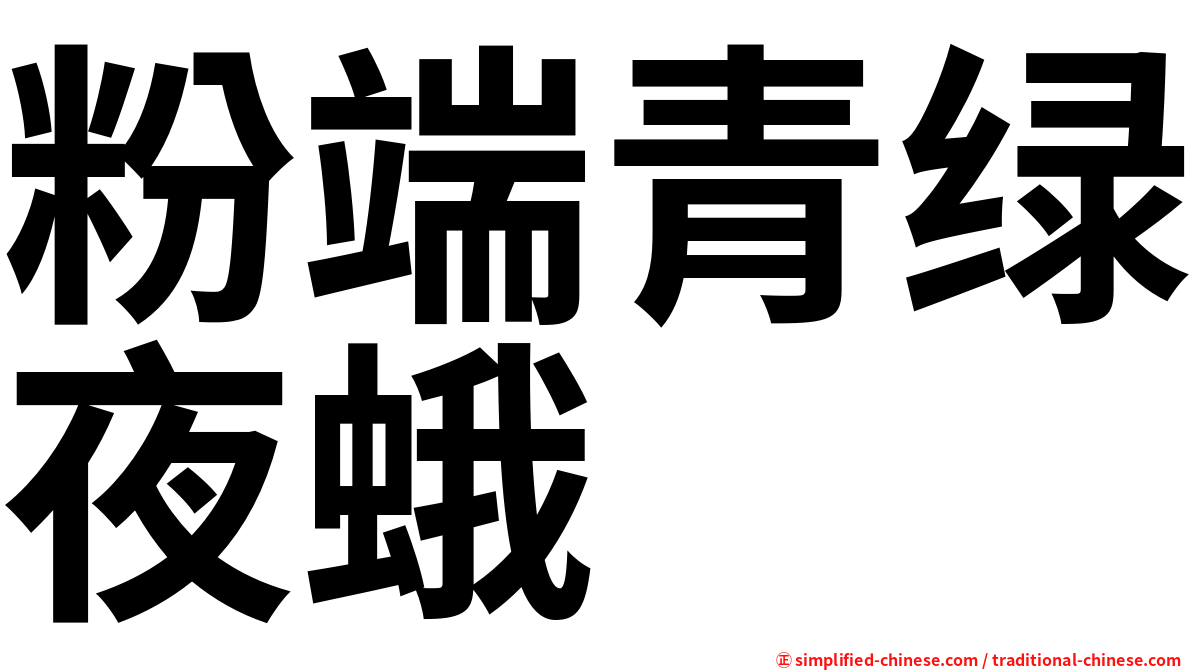 粉端青绿夜蛾