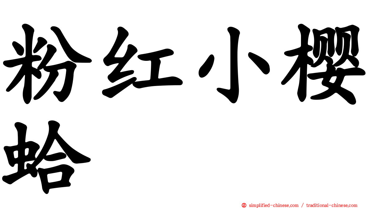 粉红小樱蛤