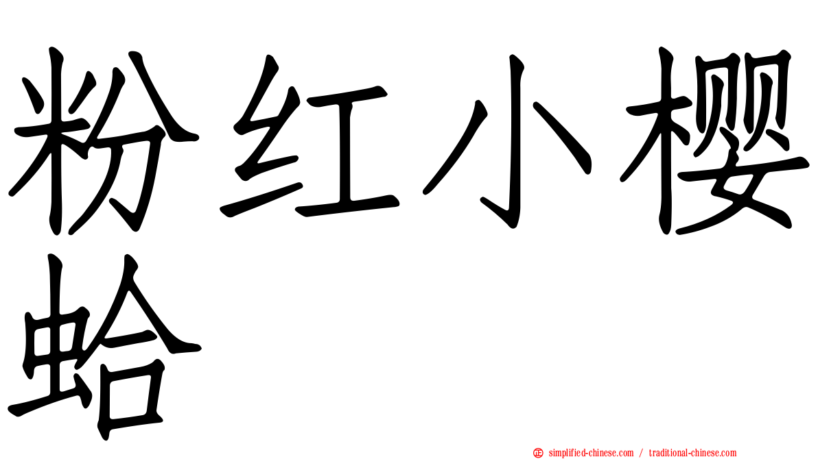 粉红小樱蛤