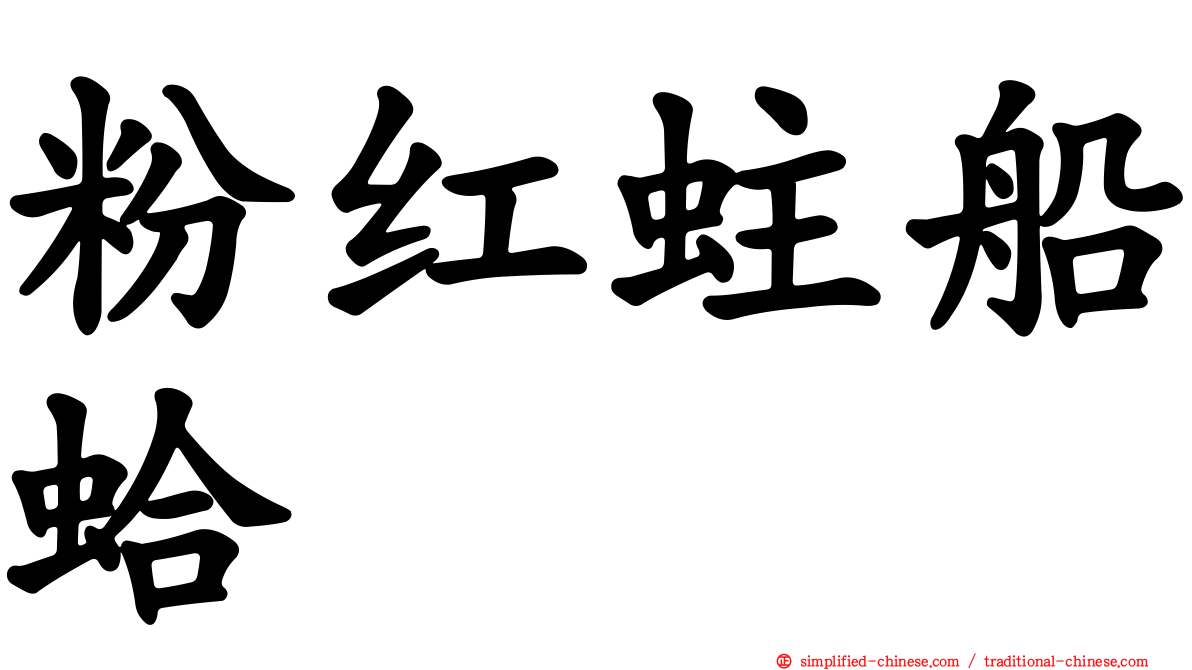 粉红蛀船蛤
