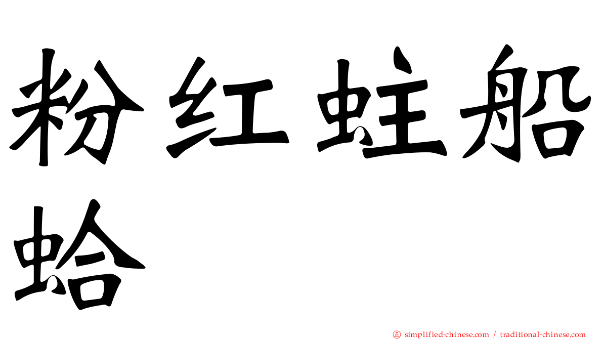 粉红蛀船蛤