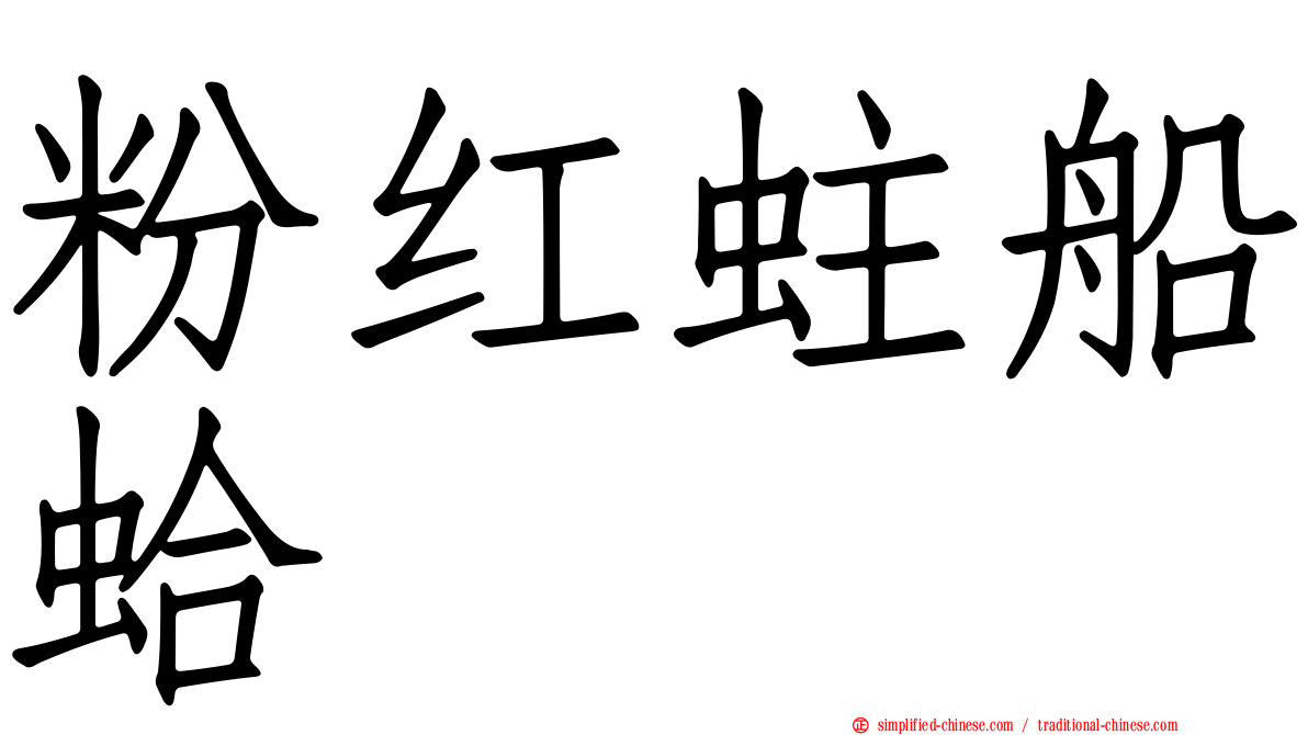 粉红蛀船蛤