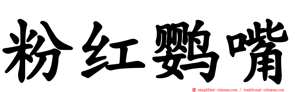 粉红鹦嘴