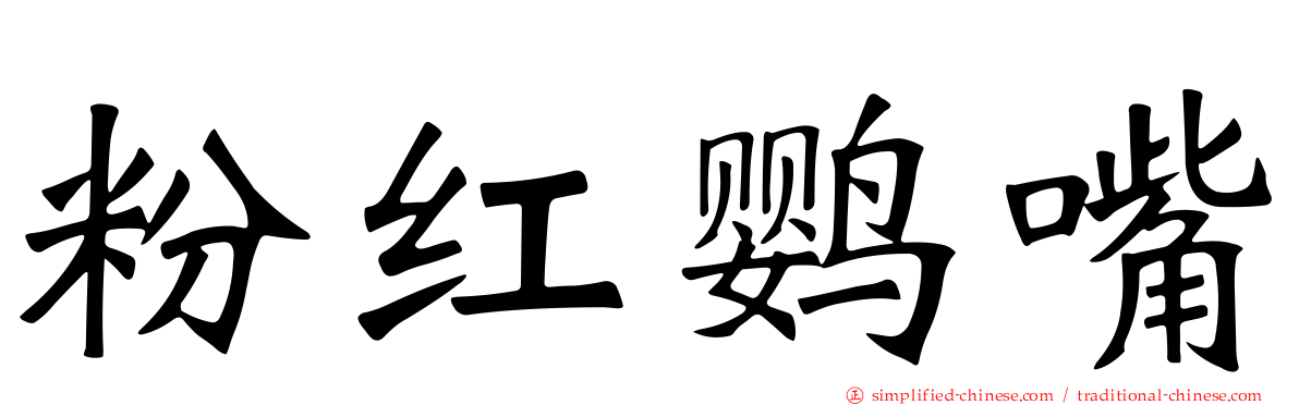 粉红鹦嘴