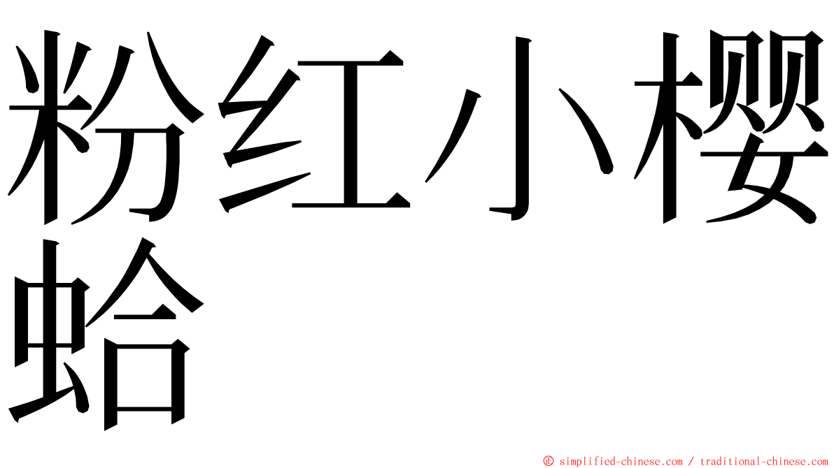 粉红小樱蛤 ming font
