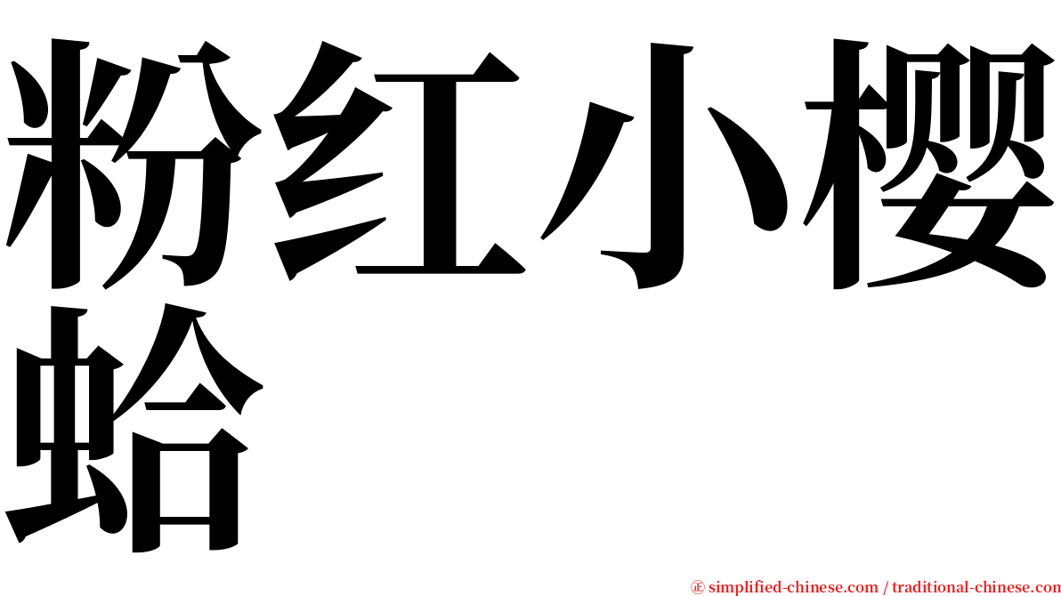 粉红小樱蛤 serif font