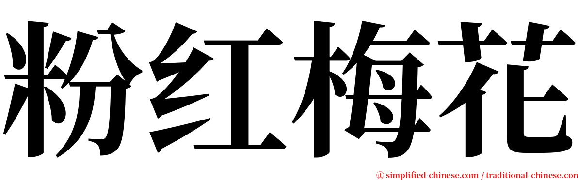粉红梅花 serif font
