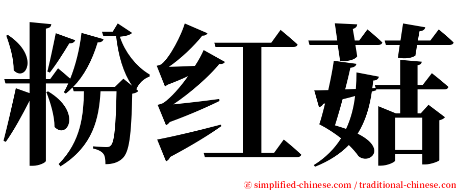 粉红菇 serif font