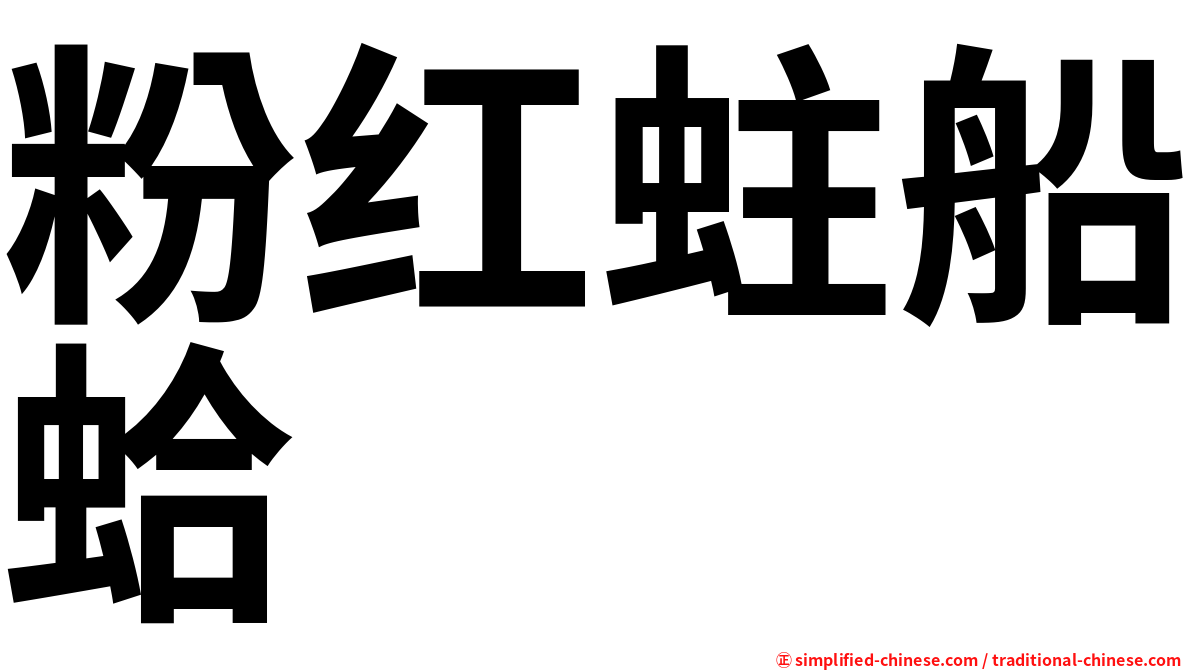 粉红蛀船蛤