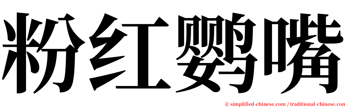 粉红鹦嘴 serif font