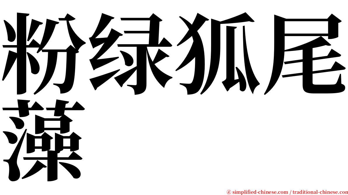 粉绿狐尾藻 serif font