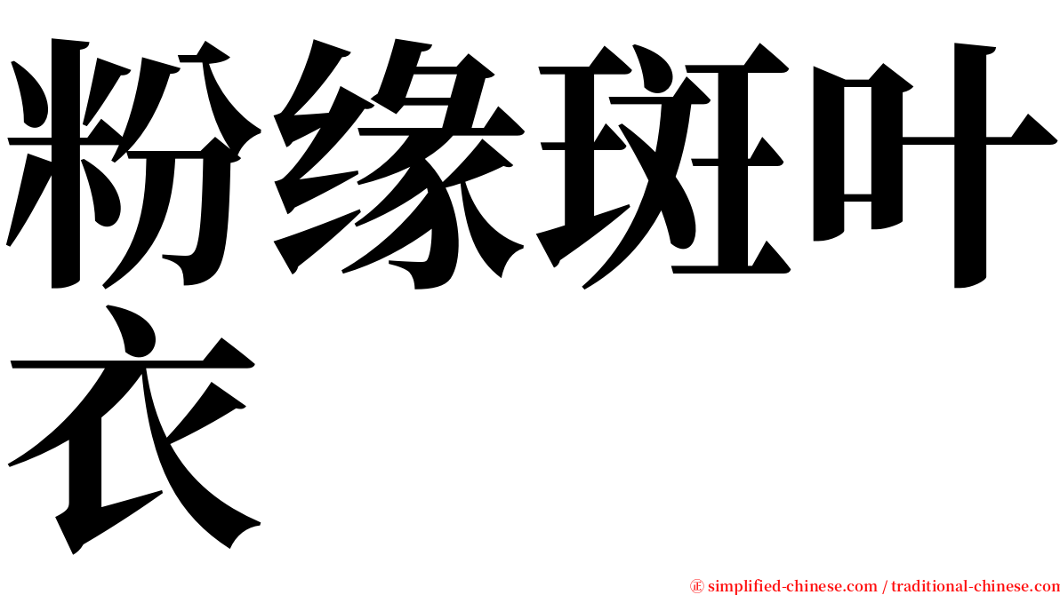 粉缘斑叶衣 serif font
