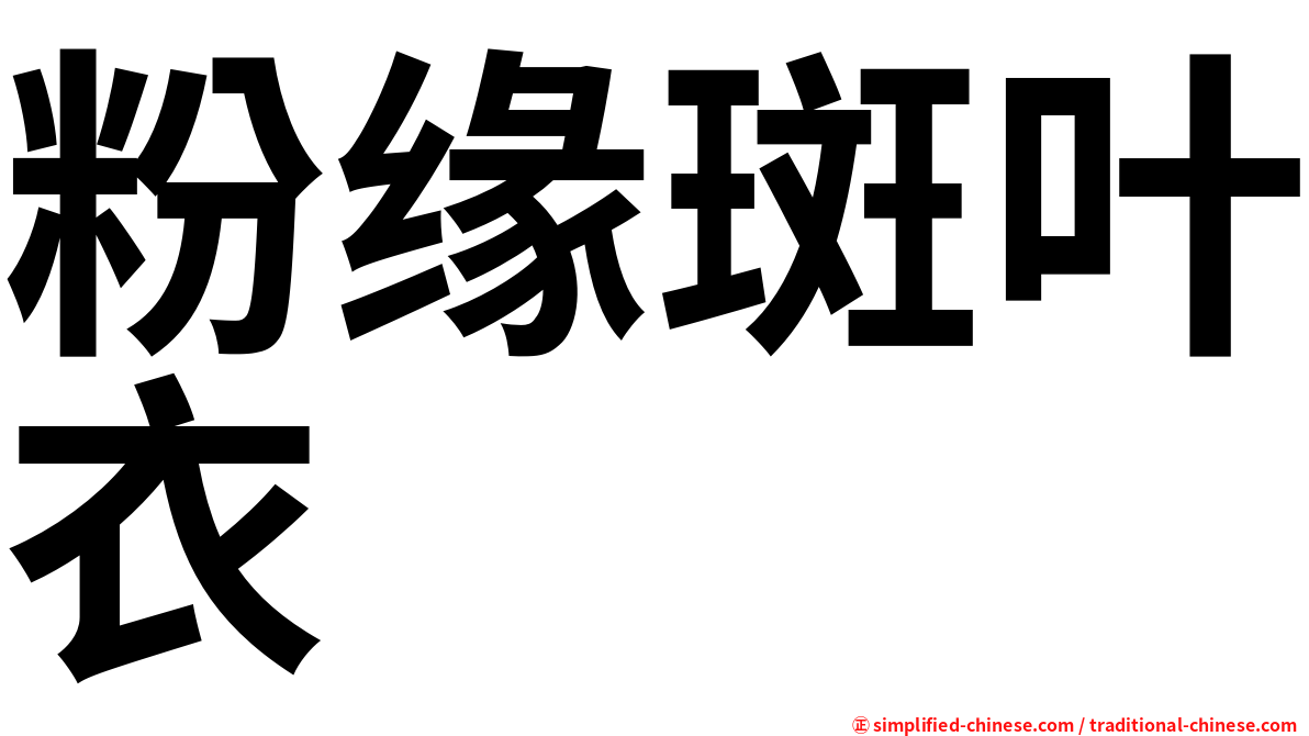 粉缘斑叶衣