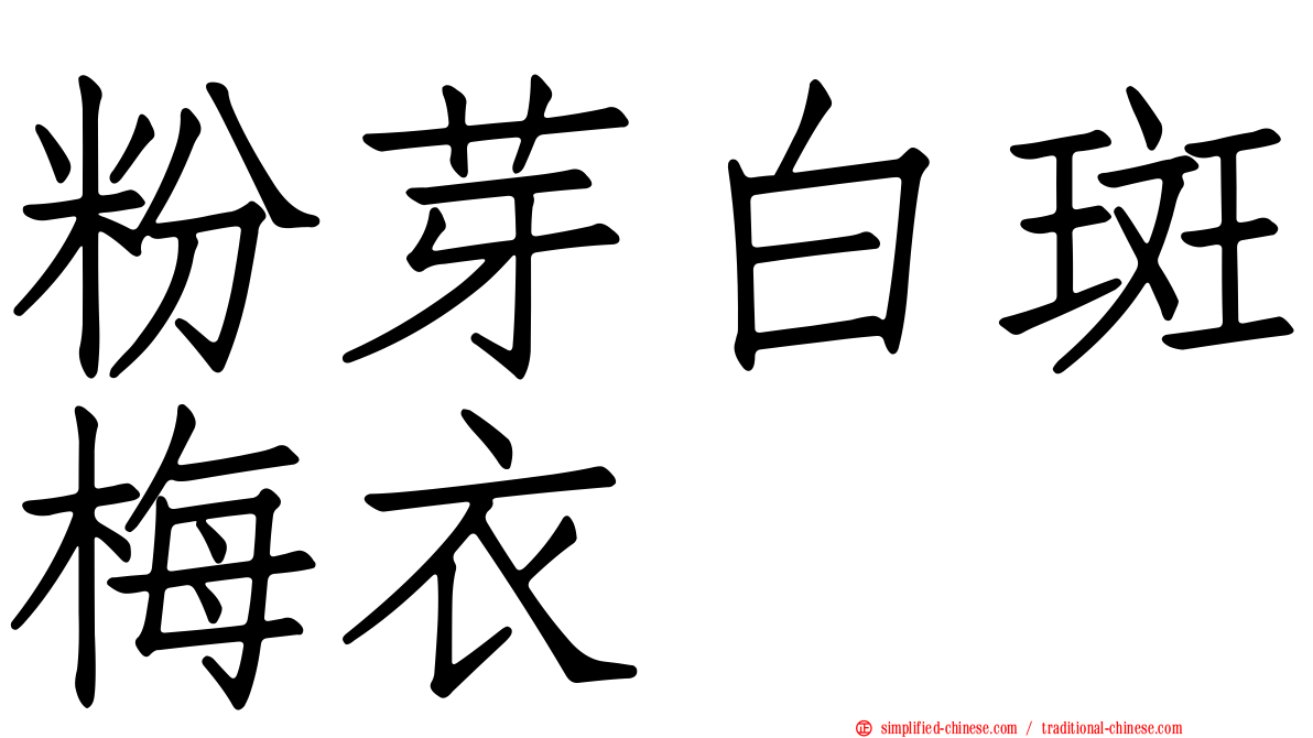 粉芽白斑梅衣