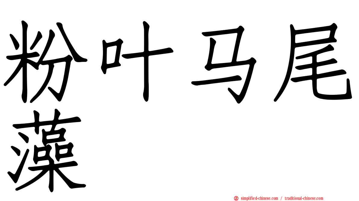 粉叶马尾藻